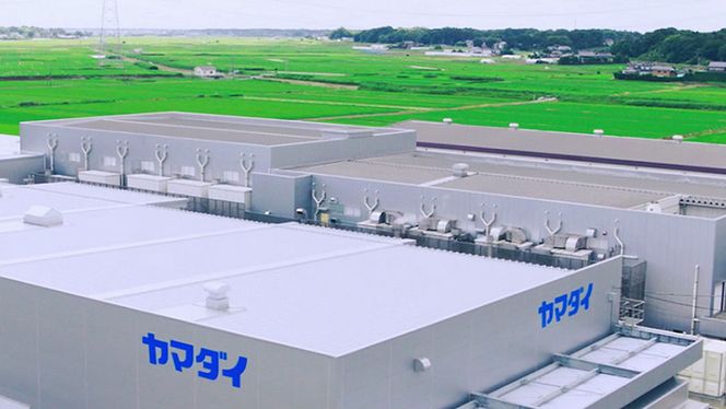 ヤマダイ　ヴィーガンヌードル12食（３種類×４食）詰め合わせセット [AH008ya]