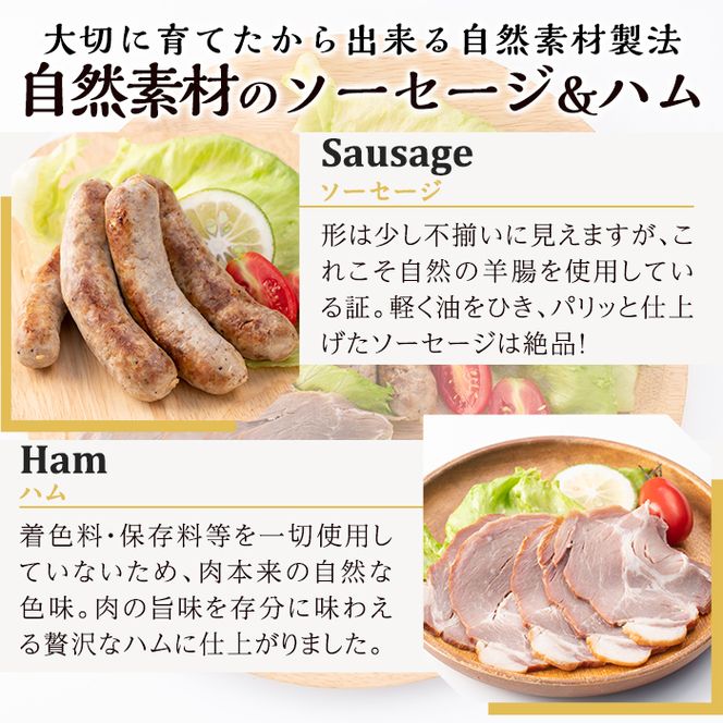 a829 月ノ灯牧場直送！保存料・添加物等不使用の鹿児島県産黒豚ソーセージとハム詰め合わせ合計600g(ソーセージ200g×2p・ハム100g×2p)完全無投薬・放牧黒豚のソーセージとハムをお届け【pig village company】