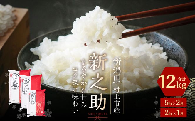  【令和7年産米】新潟県村上市岩船産新之助12kg B4030