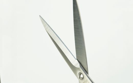 H10-201 オフィスシザー （事務用はさみ） 170mm