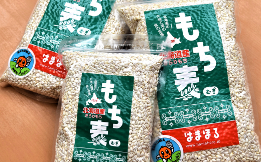 食物繊維が豊富 オホーツク産 もち麦「キラリモチ」900g×3 SRMI013
