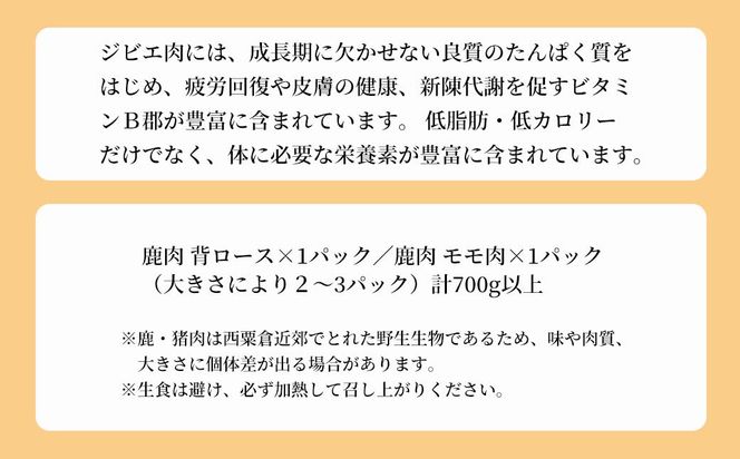 森のジビエ  鹿肉 ブロック おまかせ詰合せ700g以上 A-JJ-A15A