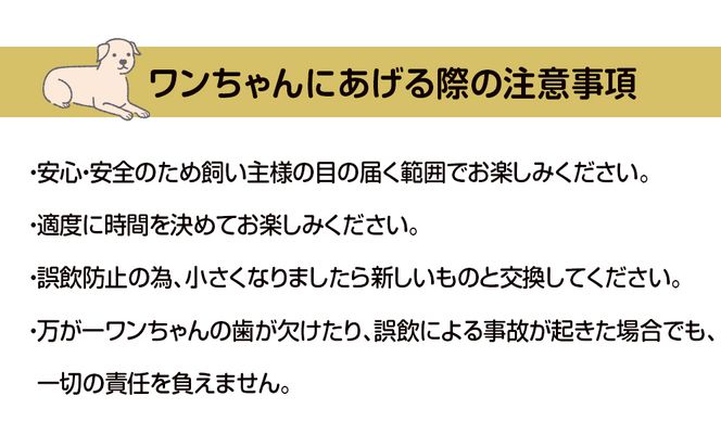 鹿の角 エゾシカ 犬のおもちゃ 『鹿角さん』 小型犬用　先端　2本セット  CB026