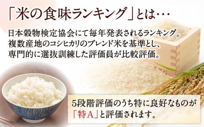 【3年連続特A獲得】長崎県産 精米 にこまる 5kg×2袋 総計10kg / 米 お米 こめ コメ 精米 / 南島原市 / 大松屋商店[SDR013]