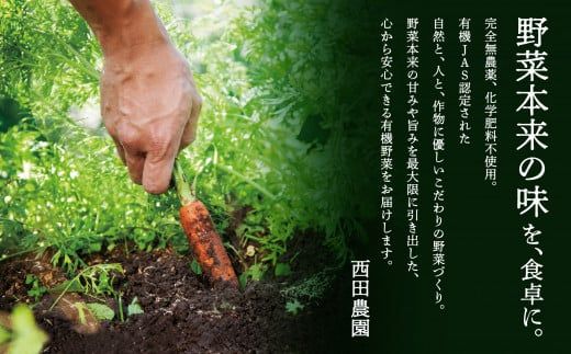 【有機JAS認定サラダ野菜】西田農園　季節の野菜詰合せ　6ヶ月定期便  060011