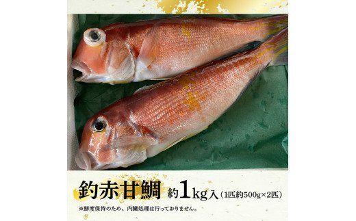 『釣赤甘鯛 Ａ』　魚 [G4405]