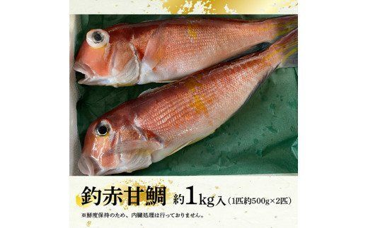 『釣赤甘鯛 Ａ』　魚 魚介類 [D04408]