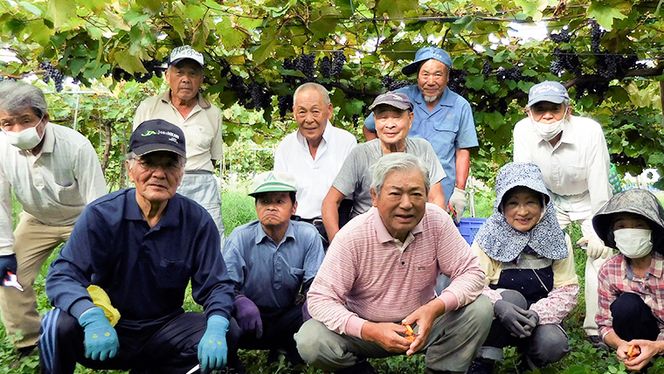 八千代夢ワインシリーズ ハーフボトル 2本 セット 夢 ( 赤 )・つくば甲州 ( 白 ) ワイン ハーフ セット 日本 カベルネソーヴィニョン 富士 甲州 中辛 辛口 ドライ スクリューキャップ 和食 wine 飲み比べ 360ml ワインセット [AT010ya]