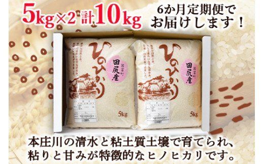 ＜田尻産ヒノヒカリ10kg(5kg×2袋) 6か月定期便＞翌月中旬頃に第一回目発送（※8月は下旬頃）【a0166_oc】