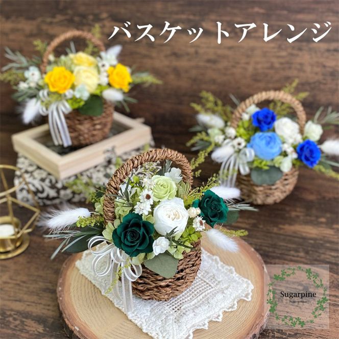 yʌtszAJ033-1 vU[uht[@R@O[@ts@VK[pC