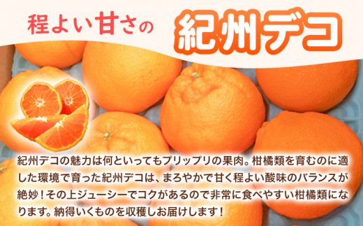 【先行予約】果肉プリプリ 完熟 紀州 デコ ( 不知火 ) 約 5kg 果肉 デコ 魚鶴商店《2月下旬-3月中旬頃よりに発送予定(土日祝除く)》紀州デコ 和歌山県 日高町 贈り物 ギフト 不知火 しらぬい でこぽん デコポン  ---wsh_uot122_2g3c_25_18000_5kg---