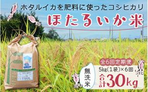 ほたるいか米（無洗米５kg）×6回 計30kg【6ヶ月定期便】