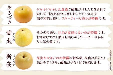『谷口農園』の玉東梨　約3kg 予約受付中《8月中旬-10月上旬頃出荷》【日付指定・品種指定不可】 熊本県 玉名郡 玉東町 梨 ナシ フルーツ 果物 送料無料 ギフト 贈答---sg_ctaninashi_g810_25_11500_3kg---