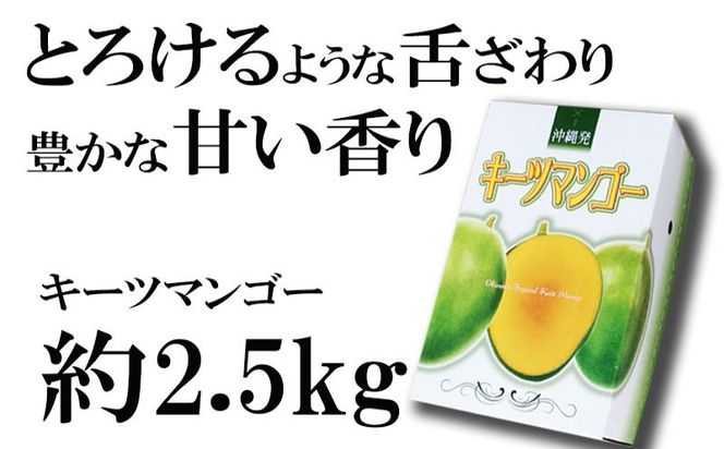 【先行受付】【2025年発送】神谷ファームのキーツマンゴー 約2.5kg