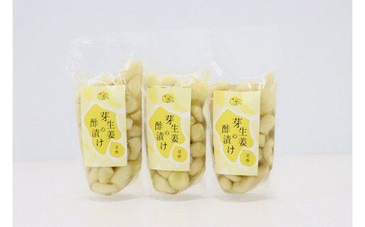 芽生姜の甘酢漬け 3パック