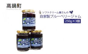 ＜ソフトクリーム屋さんの自家製ブルーベリージャム250g×3＞2か月以内に順次出荷【c584_sn_x2】 ジャム 3個