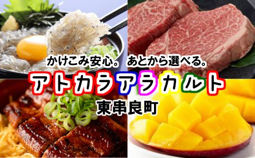 【200797】年末も安心。あとから選べるカタログ「アトカラアラカルト」20万円