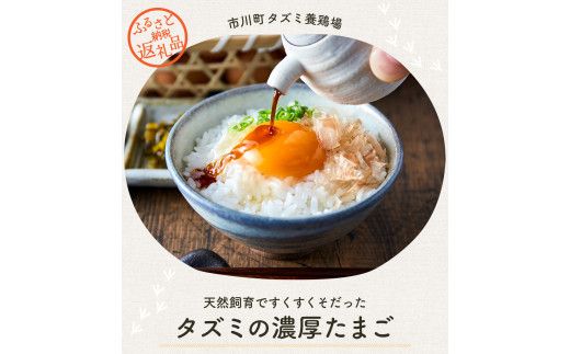 yɌs쒬z008AB01N.^Y~̗lTCYi30j