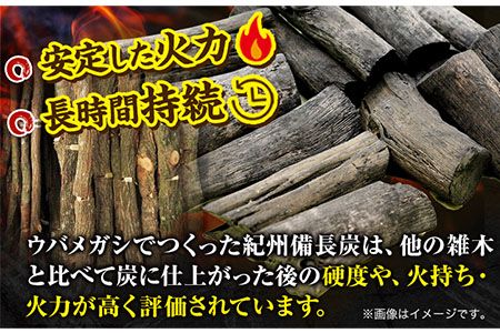 紀州備長炭 訳あり 約12kg 望商店 《30日以内に出荷予定(土日祝除く)》 和歌山県 日高川町 備長炭 紀州備長炭 炭 約12kg 高級白炭---wshg_nswkb_30d_22_32000_12kg---