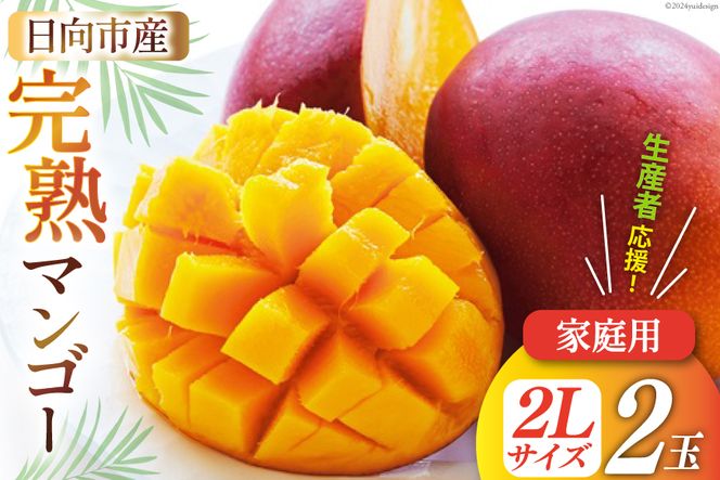 【先行受付】「生産者応援・数量限定」日向完熟マンゴー2L×2玉(家庭用) [宮崎県農業協同組合日向地区本部(販売課) 宮崎県 日向市 452060536] 日向 完熟マンゴー 完熟 果物 くだもの フルーツ 甘い 果実 冷蔵