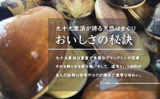 ＜3ヶ月毎月届く定期便!＞九十九里浜産活天然はまぐりサイズお任せ2kg入り SMBB005