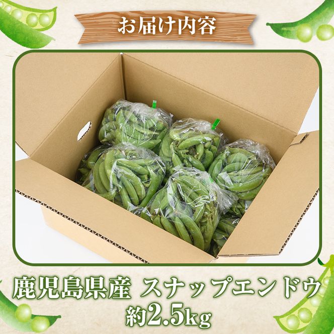 訳あり＞鹿児島県産 スナップエンドウ(約2.5kg) 国産 野菜 スナップ