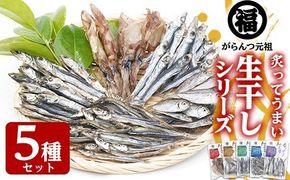 鹿児島県阿久根市産！生干しシリーズ(5種)国産 生干し おつまみ おかず 魚介 魚貝 海産物 干物 ひもの【マルフク川畑水産】akn029-03