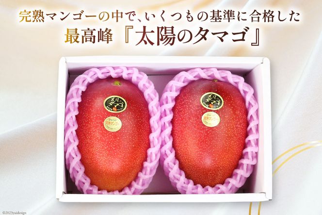 【2026年夏発送】 宮崎 完熟 マンゴー 太陽のタマゴ 秀品 900g以上 [宮崎県農業協同組合日向地区本部（販売課） 宮崎県 日向市 452060664] 果物 フルーツ 完熟マンゴー 甘い 日向 期間限定 冷蔵