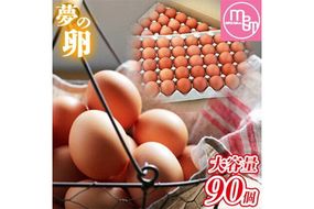 卵 たまご 赤玉 夢の卵 90個《90日以内に出荷予定(土日祝除く)》株式会社めぐみ 岡山県 浅口市 送料無料 大容量 大箱 たっぷり---124_79_90d_23_21000_9---
