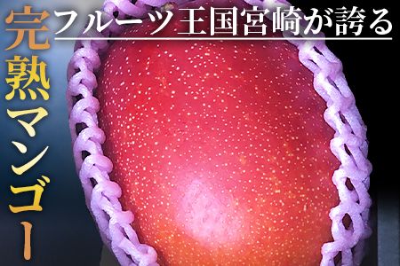 ＜宮崎特産！国富町産の完熟マンゴー 2玉（2L×2玉）＞2026年3月下旬～6月下旬迄に順次出荷【a0594_as】