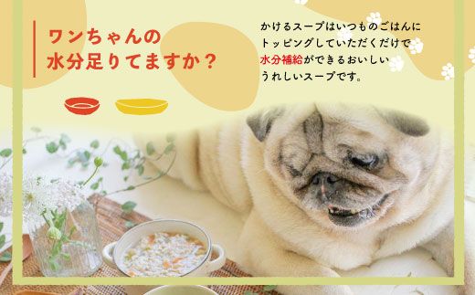 R6-433．【3回定期便】いつものごはんにかけるだけ！四万十鶏とゴロゴロ根野菜のスープ 12袋セット×3回配送（合計36袋）【ペットフード】