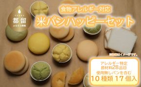 CP009　食物アレルギー対応米パン　ハッピーセット