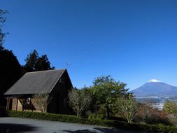 乙女森林公園第２キャンプ場宿泊券（コテージＢ：６名タイプ）