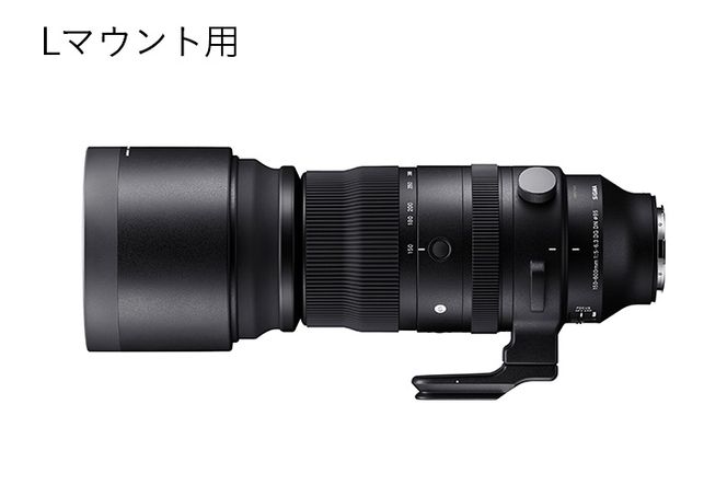 【Lマウント用】SIGMA 150-600mm F5-6.3 DG DN OS | Sports