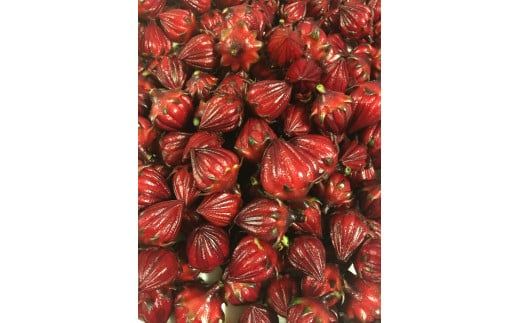 はちみつ ローゼルハニー ジャムセット 非加熱生はちみつ 百花  詰め合わせ 純粋はちみつ 使いやすいプラ容器入り 372