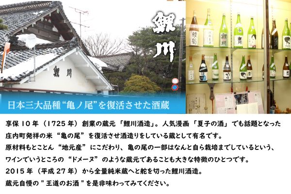 鯉川酒造　純米酒セット（720ml×2本）