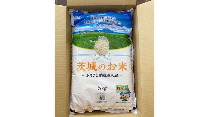 【 令和7年産 】 茨城県産 あきたこまち 10kg ( 5kg × 2袋 ) 米 お米 コメ 白米 茨城県 精米 新生活 応援 [DK018ci]