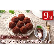 a683 生チョコトリュフ！シャンティショコラボヌール(9個入×1箱)【財宝】スイーツ お菓子 チョコ チョコレート 生チョコ トリュフ 新感覚 バレンタイン