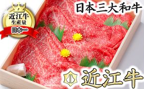【7月発送分】極上近江牛すき焼き・しゃぶしゃぶ用　モモ【800g】【CB04U-7m】