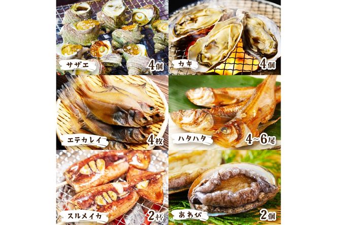 大満足！京丹後・海鮮BBQ　Dセット　贅沢アワビ付　6種22品（4～5人前）　YK00145