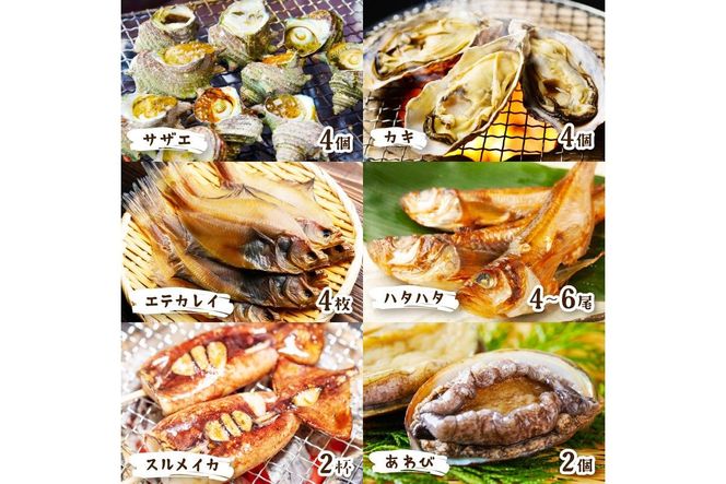 【先行予約】大満足！京丹後・海鮮BBQ　Dセット　贅沢アワビ付　6種22品（4～5人前）（2026年4月中旬～発送）　YK00555