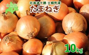《期間限定》北海道 士幌産 たまねぎ 玉ねぎ タマネギ 玉ネギ 玉葱 10kg (2025年12月～発送開始予定)  採れたて オニオン 旬の野菜 期間限定 新鮮 野菜 産地直送 産直 お取り寄せ 送料無料 十勝 士幌町 9000円 【V07】