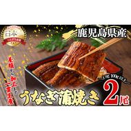 桜林養鰻のうなぎ蒲焼 計200g以上(100g以上×2尾) a3-195