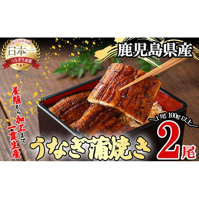 桜林養鰻のうなぎ蒲焼 計200g以上(100g以上×2尾) a2-060