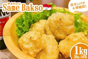 スローフードの町気仙沼ならではのサメを使用したインドネシア料理『サメBAKSO』 [Warung Mahal 宮城県 気仙沼市 20563449] 