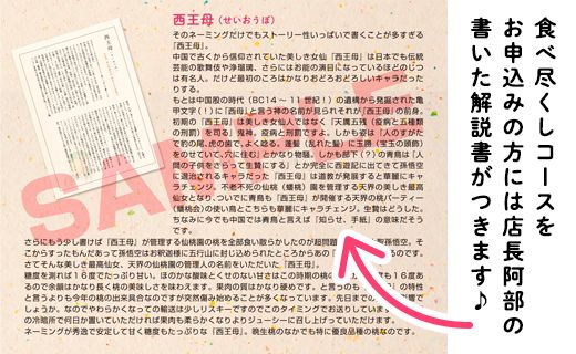 【24回定期便】桃 食べつくしクレイジーマニアックコース　岡山県総社もも生産組合【2025年産先行予約】25-336-001