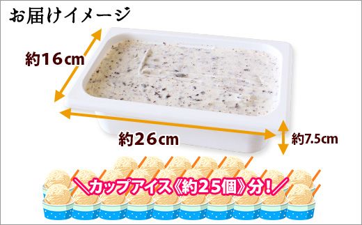 ykCqz598.ACXN[ `R`bv WF[g Ɩp 2bg 2L ACX e  kC q