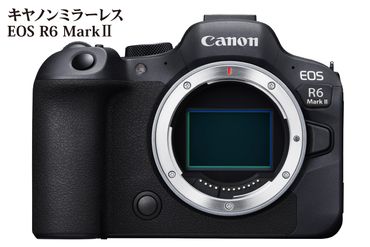 キヤノンミラーレスカメラ EOS R6 Mark Ⅱ