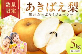 【先行予約／数量限定200】京丹後産 あきばえ梨 5kg（14～18玉）（2026年8月中旬～発送）　DE00162