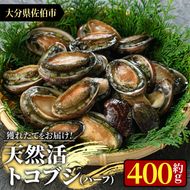 天然活きトコブシ (約400g・ハーフサイズ) 魚介 貝 トコブシ とこぶし 網焼き バター焼き バーベキュー 獲れたて 冷蔵 海の直売所 大分県 佐伯市【AS107】【海べ (株)】